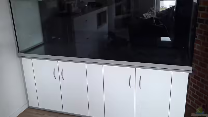 Endlich steht das neue Aquarium von Memo (2)