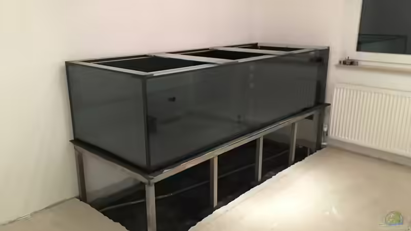 endlich steht es von Thomas S-H (7)