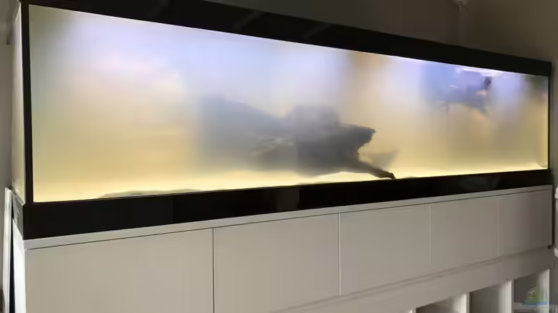 Endlich voll. Die Trübung kommt vom animpfen des Filters mit 2.5 dl Milch. von Hippopotan (23)