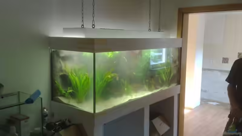 endlich wasser und pflanzen drin von Markus Huber (4)