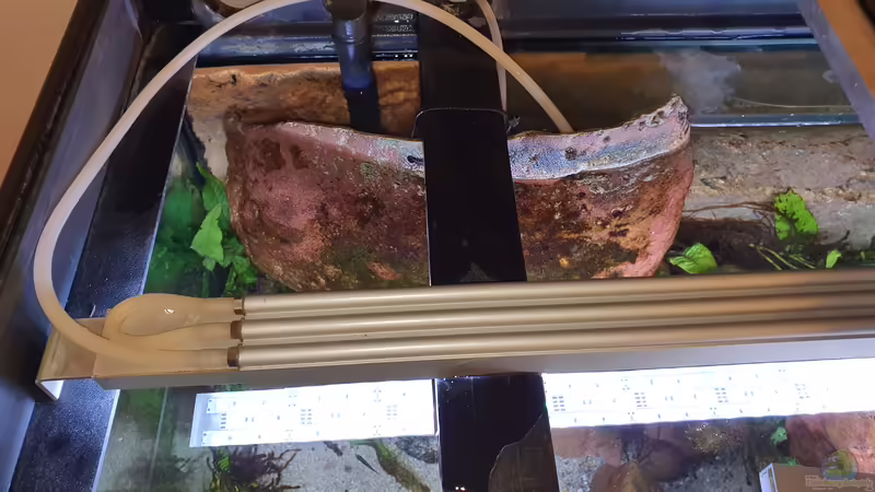 Energiekosten explodieren - Strom sparen auch als Aquarianer?