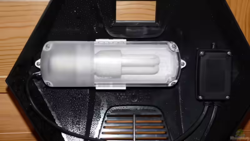 Energiesparlampe von Bunter Fisch (15)