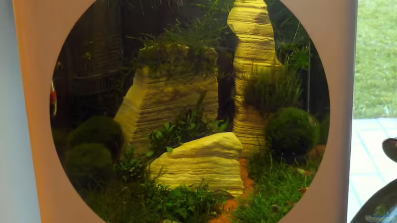 Enie2 von tanja4 (7)