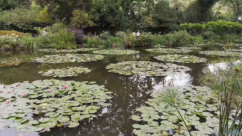 Entdecke die Schönheit von Monets Garten: Ein Paradies der Impressionisten