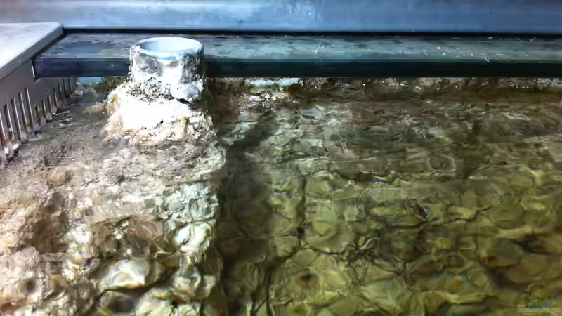 Entlüftung von Thomas Schuster (6)