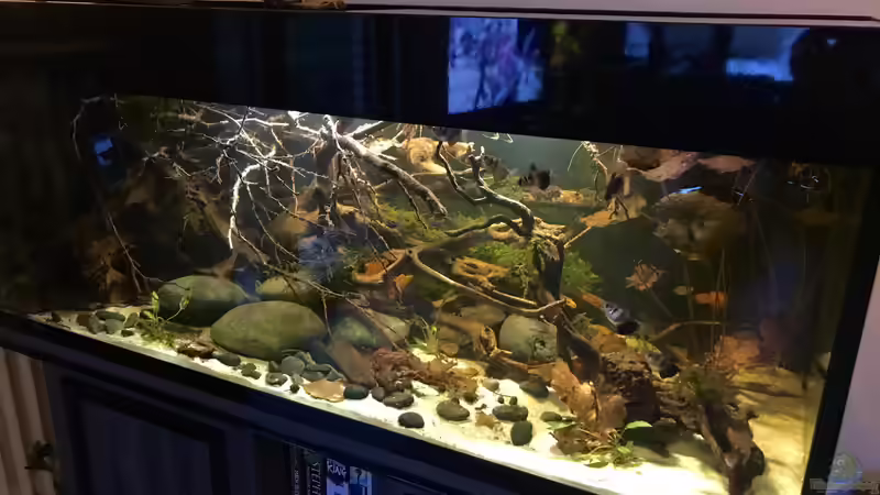 Entspannung II von NaMo (30)