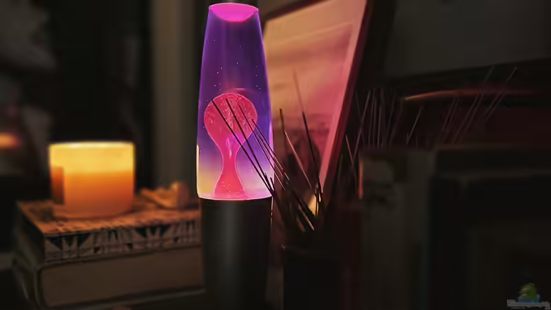 Entspannung mit Stil: Lavalampen als Retro-Highlight für jedes Zuhause