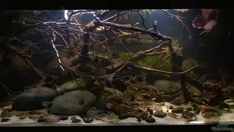 Entspannung von NaMo (1)