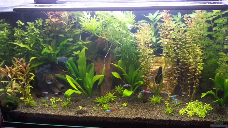 entwicklung von Marcel Witt (3)