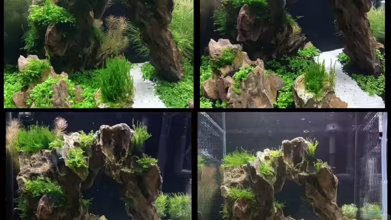 Entwicklung von Sandro (2)