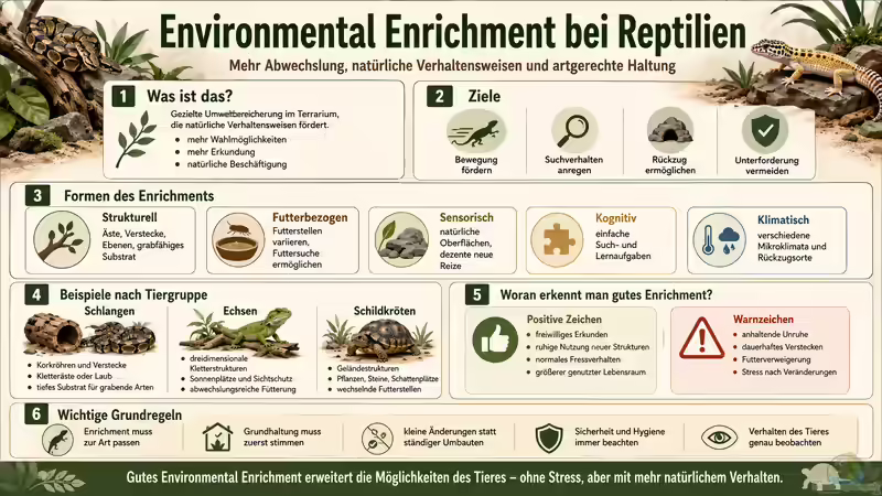 Environmental Enrichment bei Reptilien: Mehr Abwechslung und artgerechte Beschäftigung im Terrarium