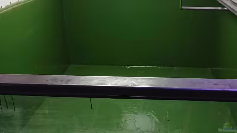 Epoxid fertig von kellerkind (32)