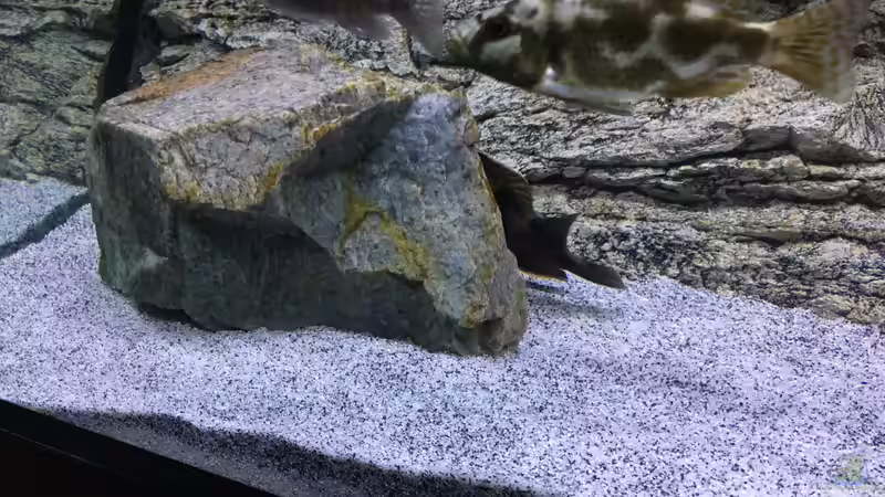 ergänzter Stein von Purki (78)