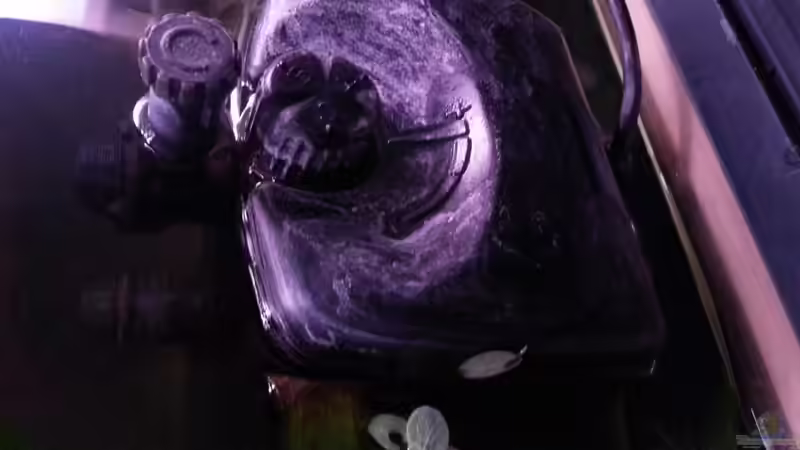 Ergänzungsfilter fluval 2 von Zomic (11)