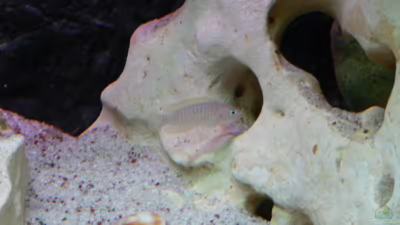 Erkundung von DominikZ (27)