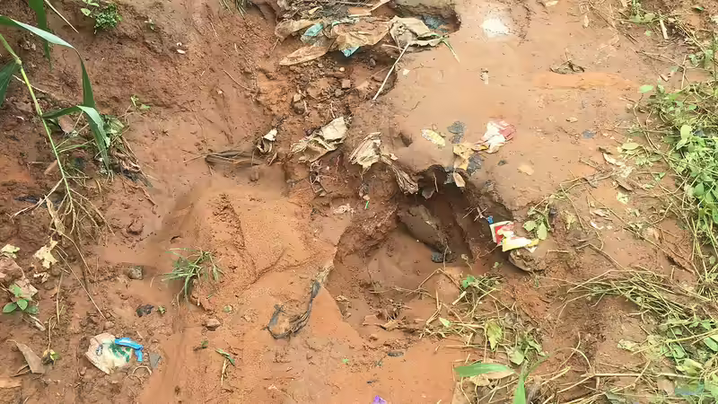 Erosion im Garten: Ursachen, Folgen und nachhaltige Lösungen