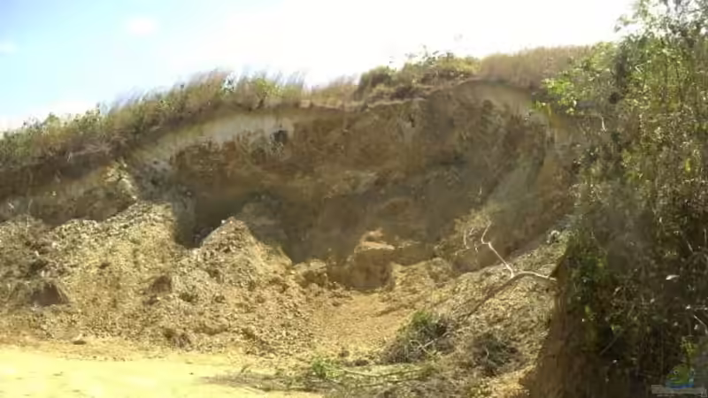Erosion im Garten: Ursachen, Folgen und nachhaltige Lösungen