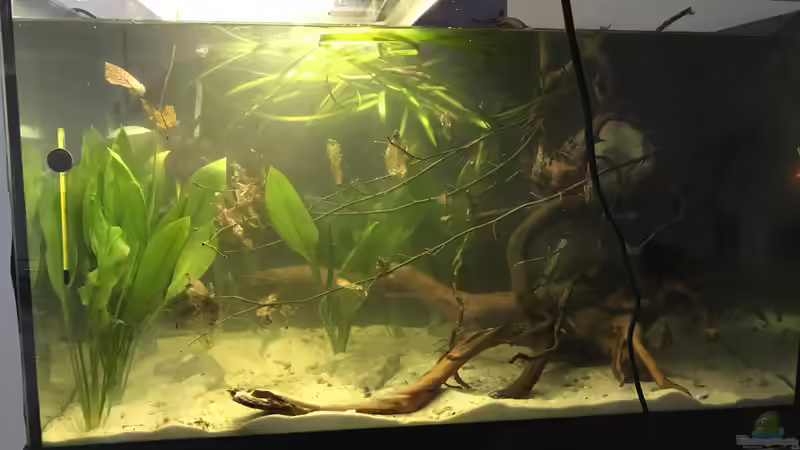 Erst betrieb von Raven887 (4)