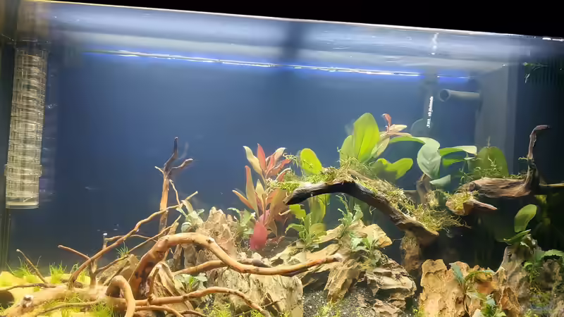 Erst Einrichtung von Wall-E (3)