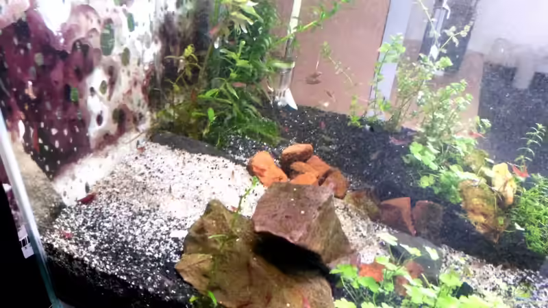 erst mal Platz machen von Nano Sonny (4)