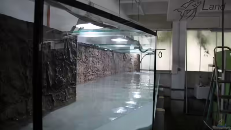 Erstbefüllung von Cichlidenland (3)