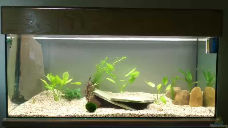 Erstbepflanzung von Christian Kleinhenz (9)