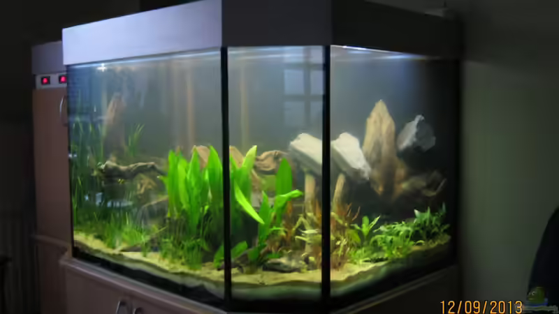 Erstbepflanzung von Paul B. (8)