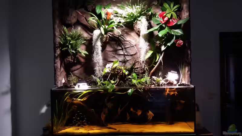 Erstbepflanzung von Sebastian Müller (29)