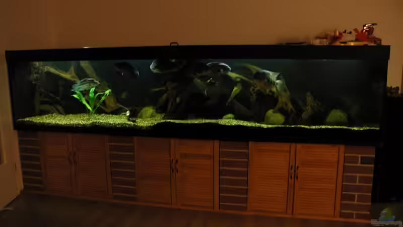 Erstbesatz 2004 von Stefan-HL (6)