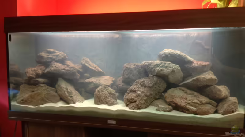 Erstdesign des Beckens, noch mit Innenfilter. von Baryo (1)