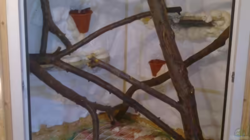 erste Anprobe ;)  von Betta Chris (31)