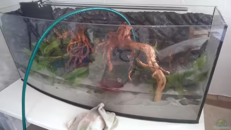 erste Befüll-Aktion von Harry Nemitz (7)