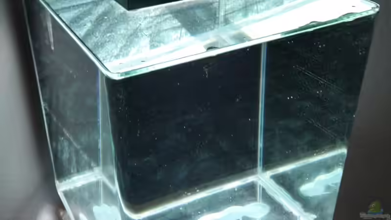 Erste Befüllung am 12.10.15 von Schallex (7)