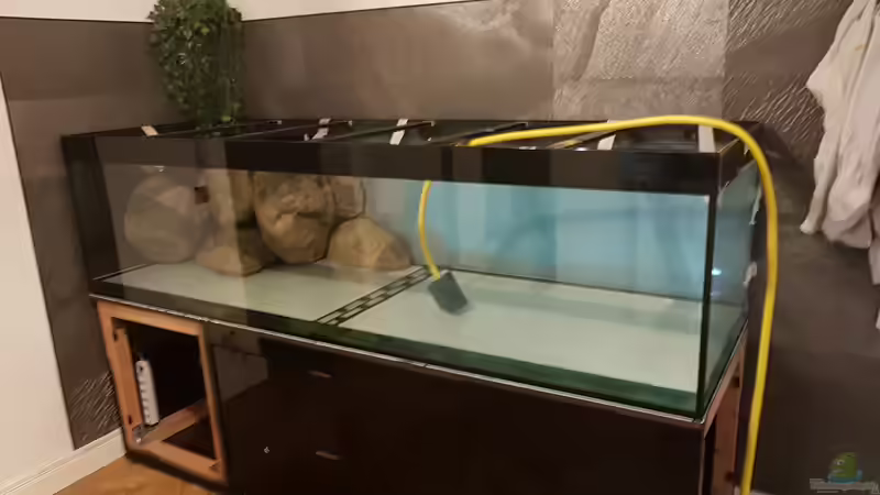 Erste Befüllung von Limited (17)