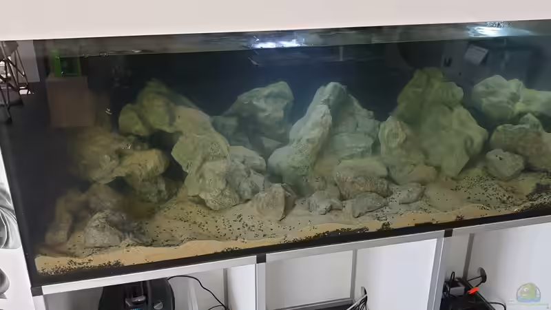 Erste Bilder beim dekorieren der Felslandschaft mit Tageslicht Sicht  von ehemaliger User (104)