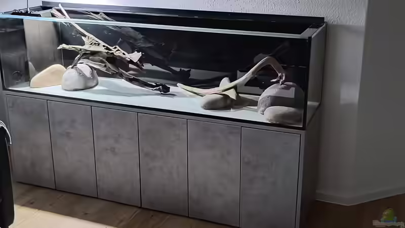 Erste Deko-Versuche von Blackwater (8)