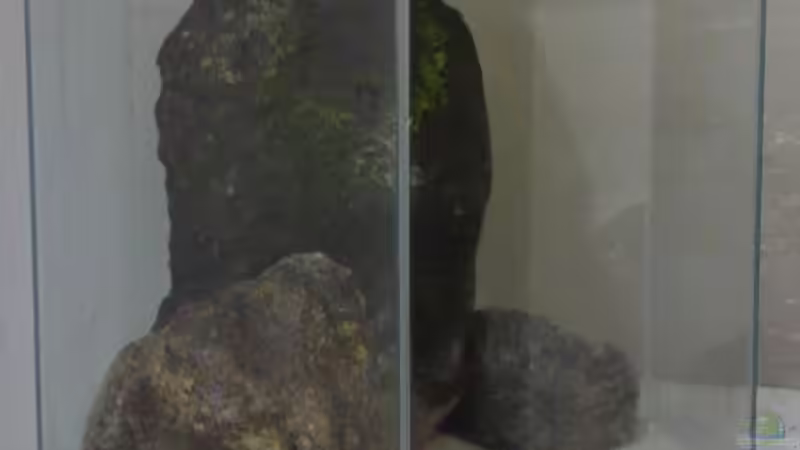 erste Deko-Versuche von Chris_R. (3)