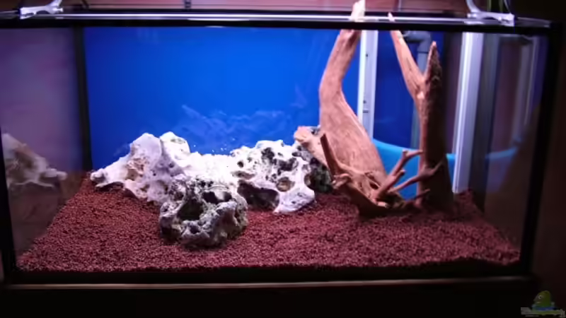 erste dekoversuche von Manfred und Heidi Reis (4)