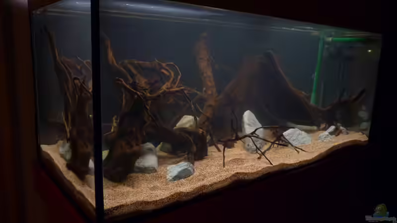 erste Eindrücke vom frischen Becken *24.03.2013* von lützkopf (5)