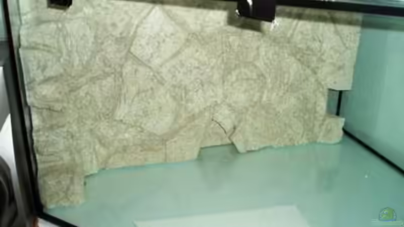 Erste Eindrücke von Markus Koller (8)