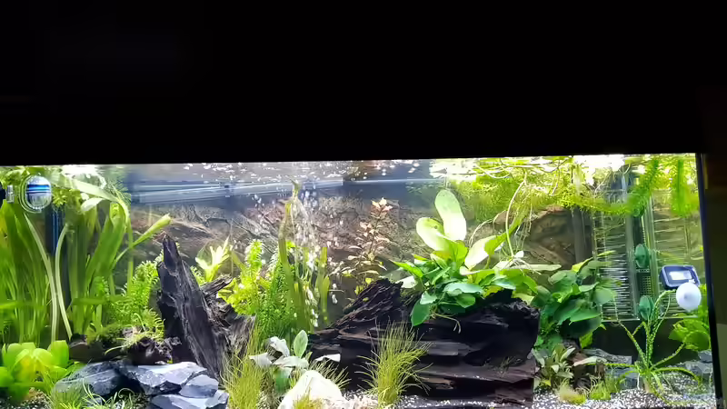 Erste Einrichtung, bis jetzt hat sich einiges verändert  von Manuela&Mike (16)