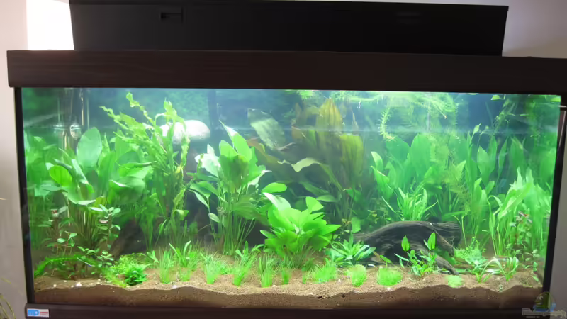 Erste Einrichtung 2011-03 von Jan16 (18)