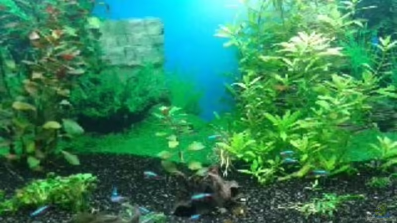 Erste Einrichtung 30.08.2012 von Jankow (8)