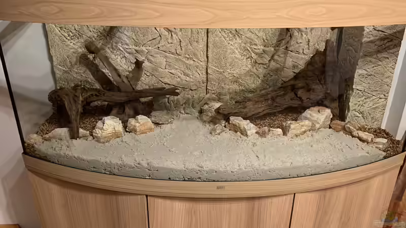 erste Einrichtung im Jänner 2021 von Donelli (3)