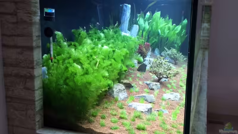 Erste Einrichtung Seitenansicht, nicht mehr aktuell von Torsten G. (10)