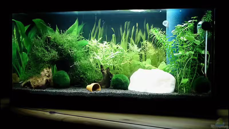 Erste Einrichtung vom 01.06.2007 von Oliver Steinmetz (3)