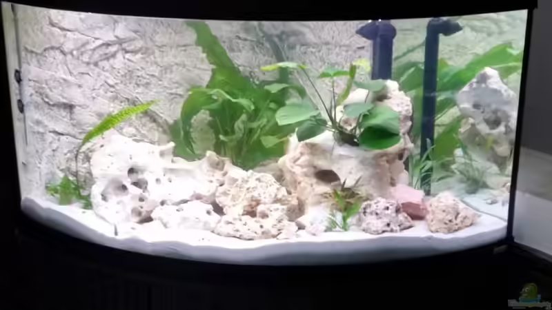 Erste Einrichtung von Marcus Mischer (2)