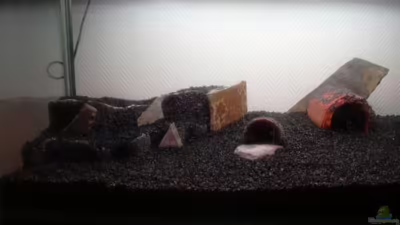 erste Einrichtungstests von Sado-Uwe (24)