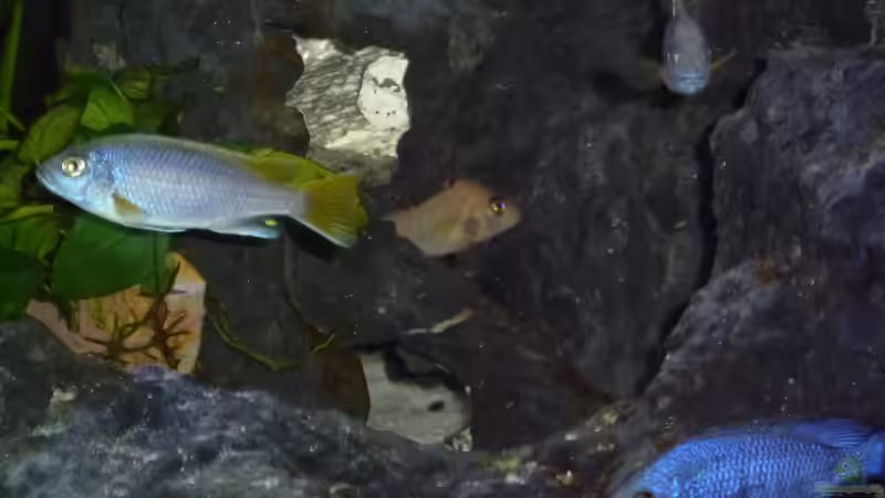 Erste Erkundung von Couro (5)