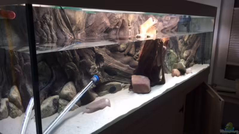 Erste Füllung von Captain Gü (33)